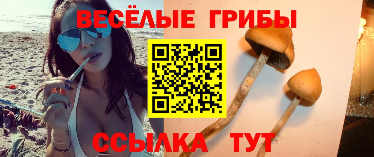 Галлюциногенные грибы ЛСД  Псилоцибиновые грибы мицелий  Шахты  Вход с VPN 
